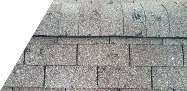 The image shows a close-up view of a worn asphalt shingle roof with visible signs of aging and wear.