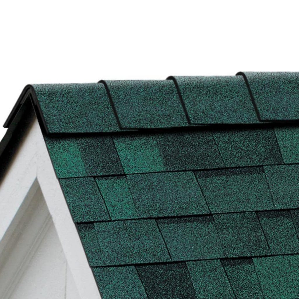 The image shows a close-up of a house's pitched roof with green asphalt shingles.