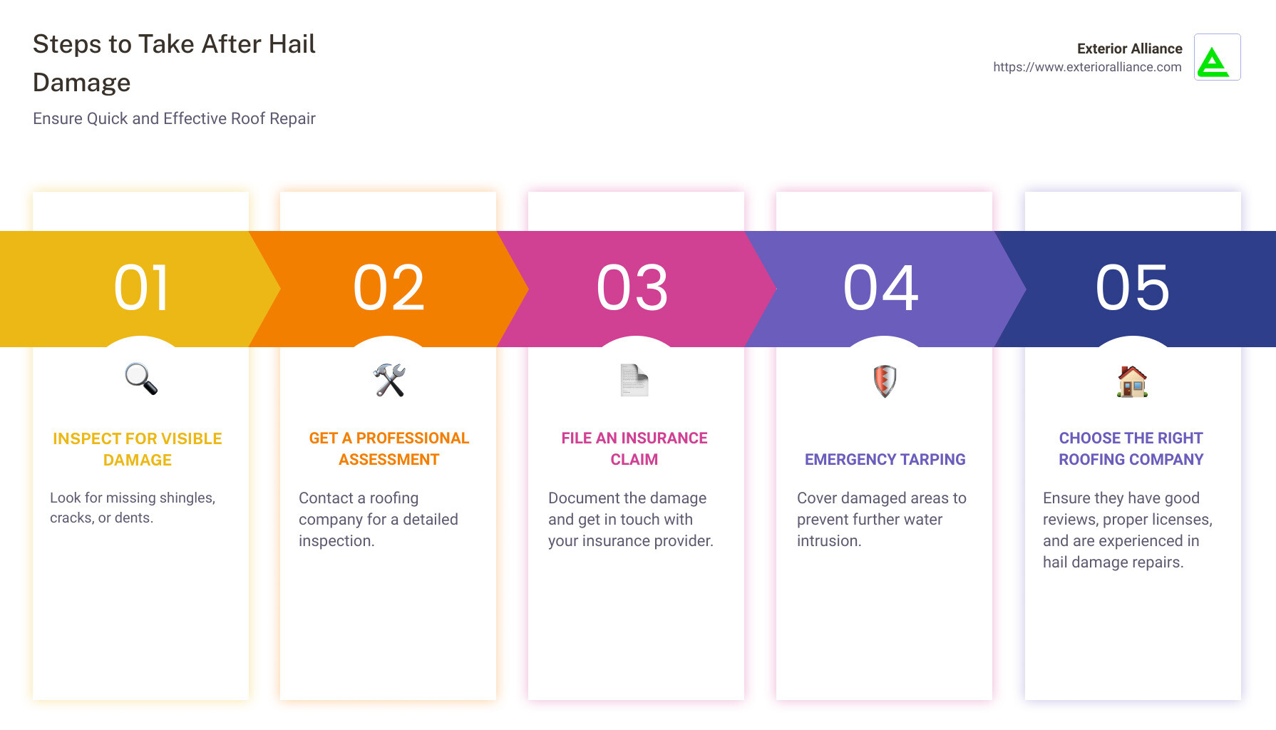 Steps to Take After Hail Damage - hail damage roofing companies infographic pillar-5-steps